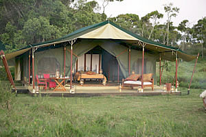 Honeymoon Suite - Elephant Pepper Camp, Masai Mara in Kenya