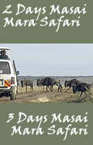 Masai Mara Safari - take this safari to visit this park famous for the migration of wildebeest