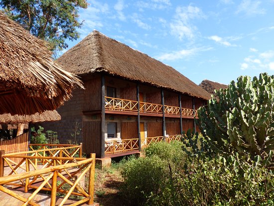 Ngutuni Safari Lodge