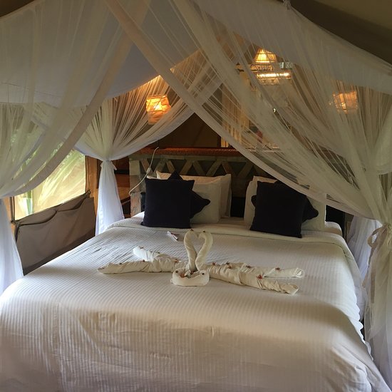 Mara Sarova Tented Camp Mara Sarova Tented Camp