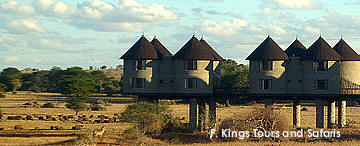 tsavo east saltlick lodge safari with animal beneath the lodge