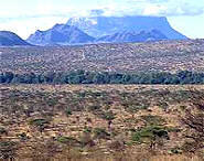 Kenya safari - Samburu Landscape